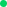 Точкка зеленая-min